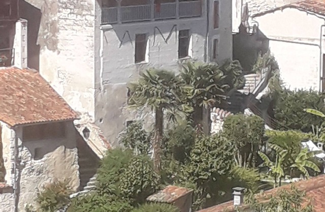 Bella Vista
