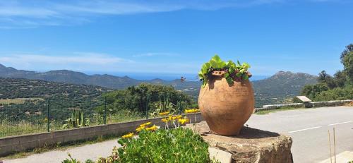 Bella vista