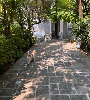 Bellavista garden house Maratea