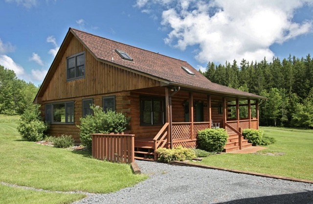 Belleayre Ski Cabin + summer retreat.