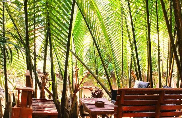 Ben Tre Farm Stay