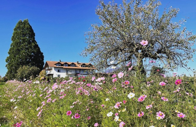 Bergblick vacation apartment - farmhouse on Lake Constance with a fantastic view
