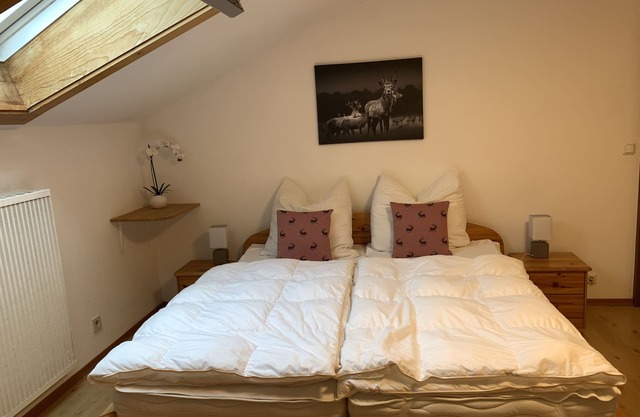 Bergrausch vacation apartment (in the city center)