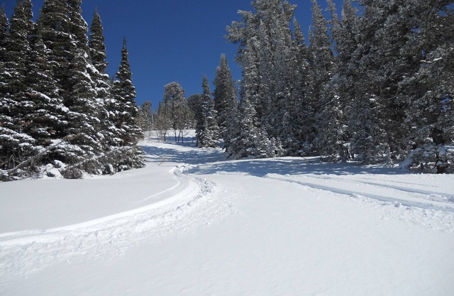 Best Deal! 3BR/3BA Ski-in/out At Powder Mountain - Rare Slopeside Accommodation