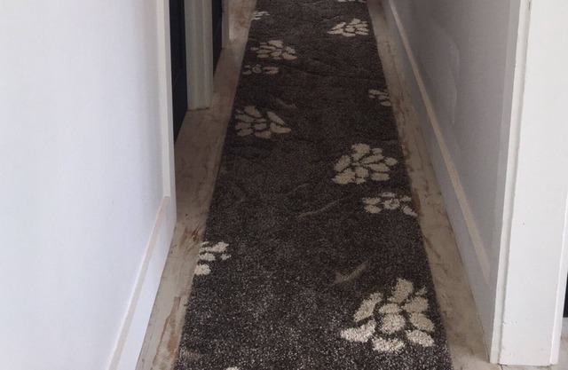 Best Location - New Renovation - Walk to Everything