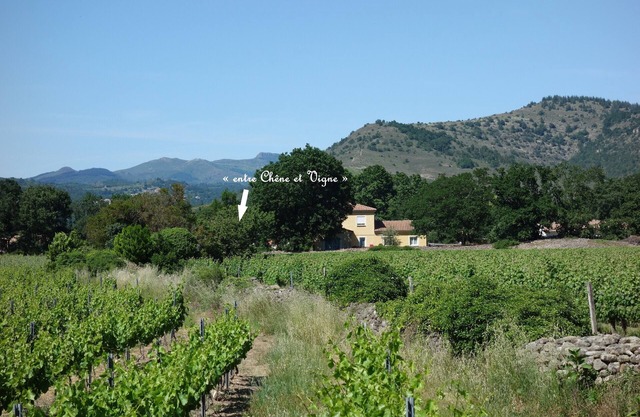 "Between Oaks and Vines, between river and Aubenas