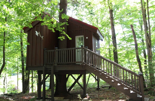Big Hollow Board and Batten House with Nerf Treehouse!