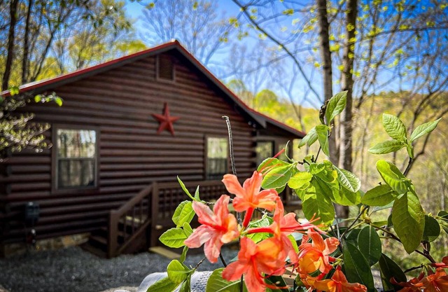 Bigfoot's Hideaway | Hot Tub | Fire Pit | Cozy Wooded Retreat
