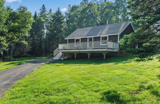 Birchwoods | Comfortable living in a private, natural setting | dog friendly