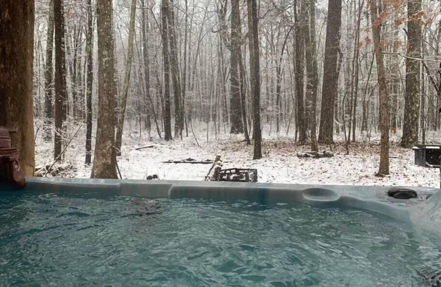 Bird House! Cozy cabin in the woods! With hot tub!