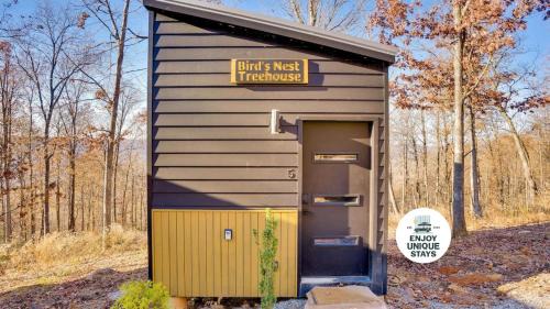Bird's Nest Spruce at Treetop Escapes