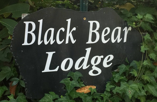 Black Bear Lodge- Creekside, Mountain Seclusion! Fall is near! Book Now!
