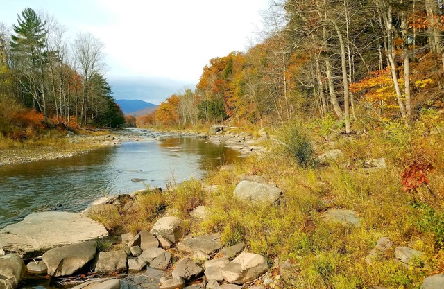 Black Bear Lodge