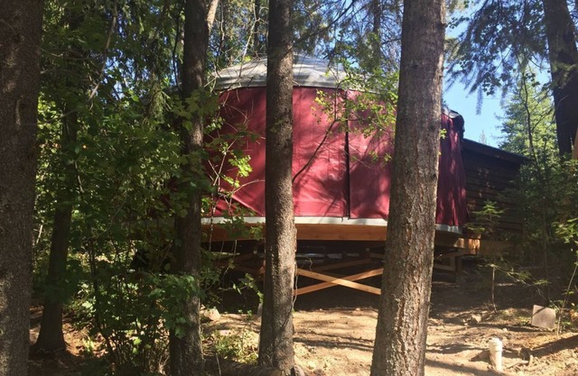 Blue yurt, out in the woods! Unplugged, you are out in nature away from it all.