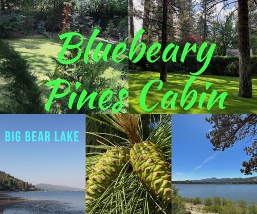 BLUEBEARY PINES-PERFECT ESCAPE-PRIVATE HOT TUB-WALK to SKI SHUTTLES
