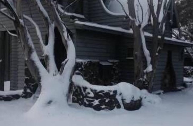 Bogong Chalet/Dinner Plain