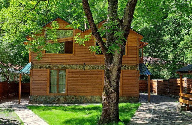 Borjomi in likani. National park of borjom kharagauli. Mountain forest hiking