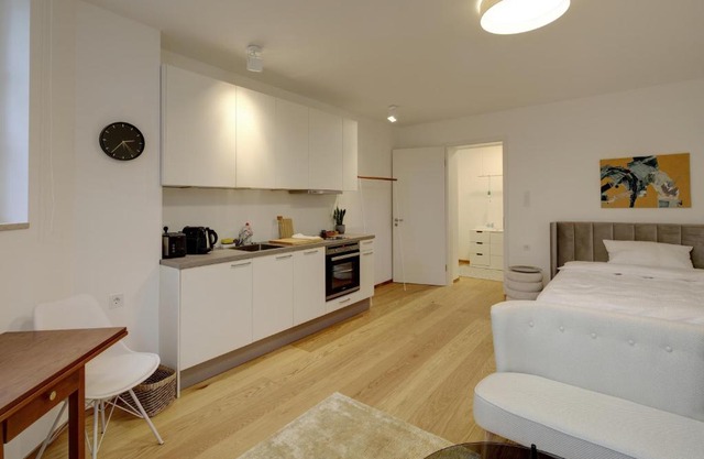 Boutique Apartments Freiburg - Elisabeth