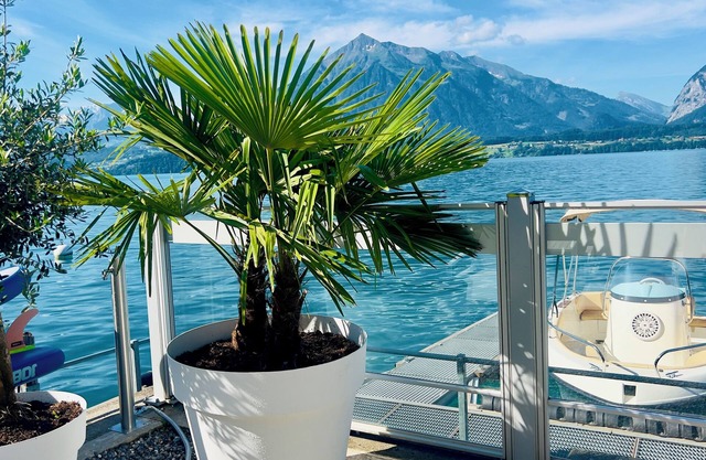 Boutique Hotel Niesenblick Self Check In