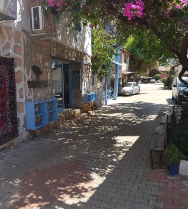 Boynuz Ağacı pansiyon