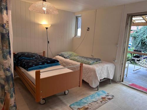 Brakel Monteu - Fererien Wohnung 2 Zimmer
