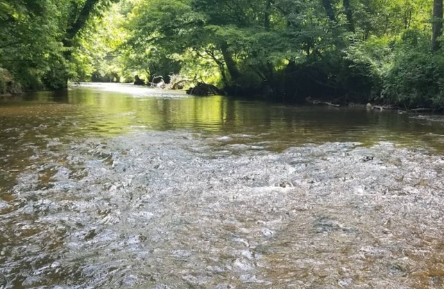 Brand New-1 Bedroom Condo right on the Toccoa River