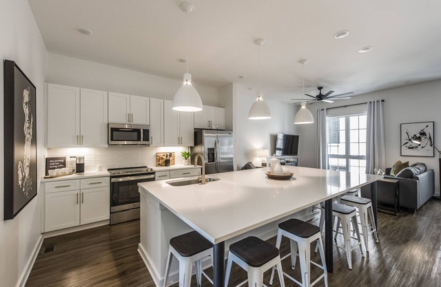 Brand new 4 BR, 4Bath Townhome with amazing rooftop!