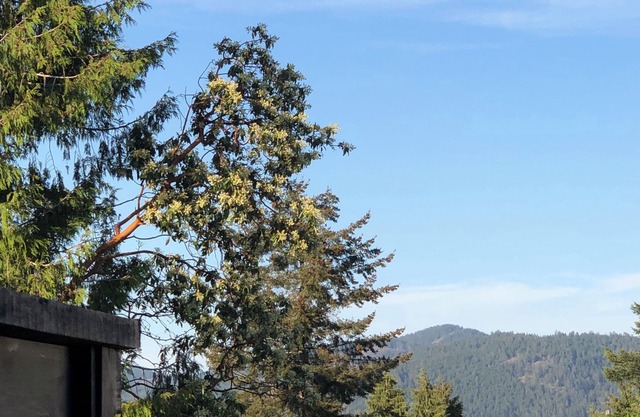 Brand new built suite, close to ocean and hiking trails, quiet neighborhood.