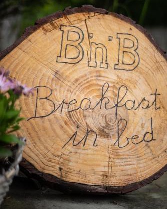 Breakfast in bed