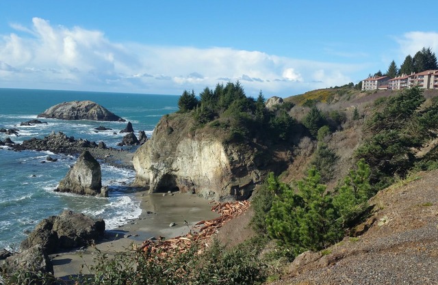 BREATHTAKING VIEW! Hear the waves. Private Beach Access, Free Day!