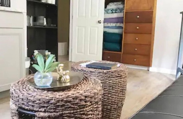 Bright & Cozy 1 Bedroom Suite Near D/T Olympia.