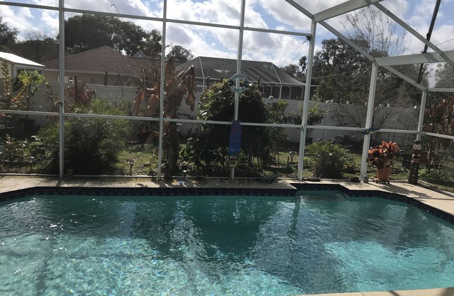 Bright & Spacious home with private saltwater pool, gardens and trampoline