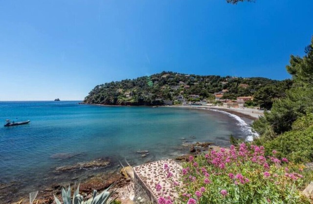 Bright studio - 50 m from the sea