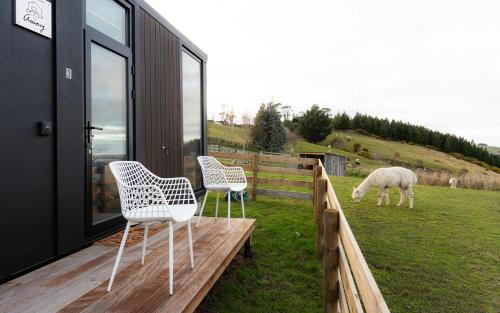 Bruce Farm Alpaca Cabin 3 by Tiny Away