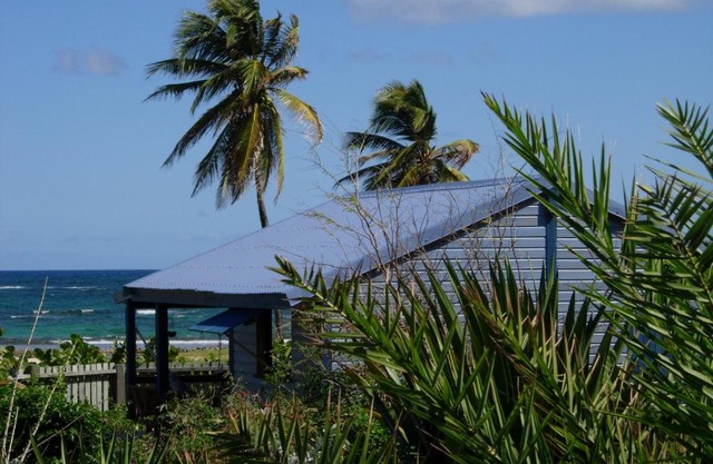 Bungalove