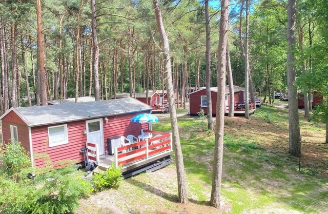 Bungalow Prachttaucher 53