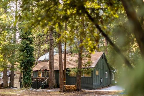 BunkHouse 1960's Camp Vibe with Timeless Wet Bar