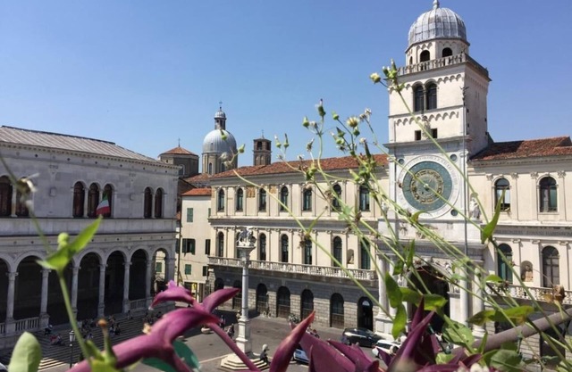 Ca Bassani - Panoramic View above Piazza dei Signori