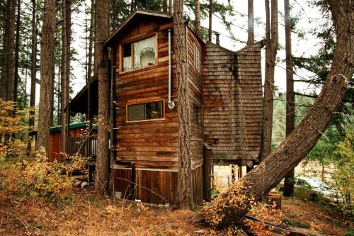 Cabaña del árbol situado en el bosque del Monte Adams en Washington