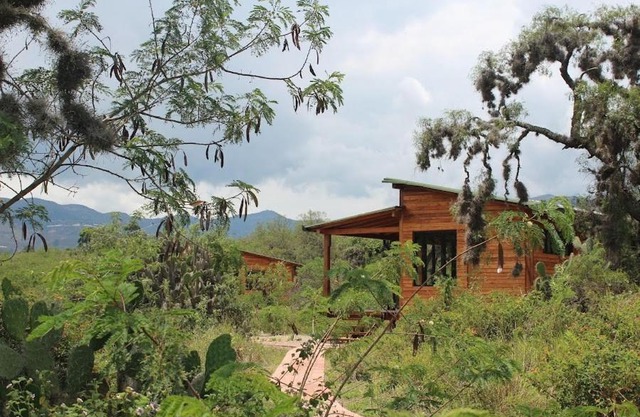 Cabañas Finca La Buganvilia