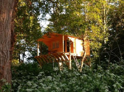 Cabane Dans Les Arbres Avec Bain Nordique