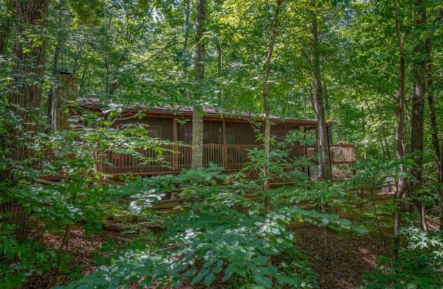 Cabin in the Woods 3 minutes from Rumbling Bald Resort @ Lake Lure