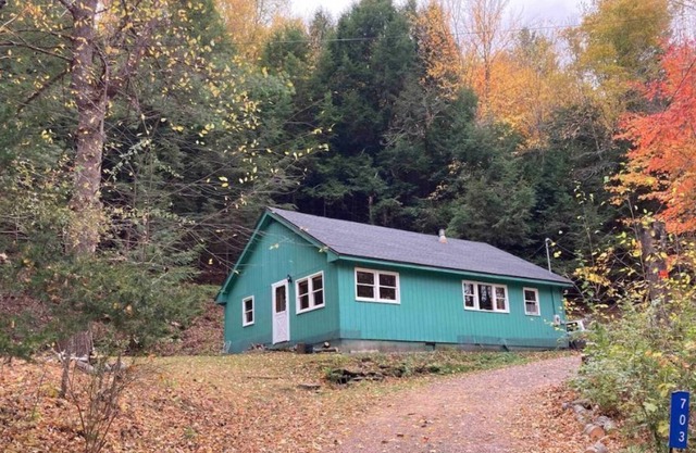 Cabin on 10 acres private hiking/20 min to Hunter, great location for hunters.