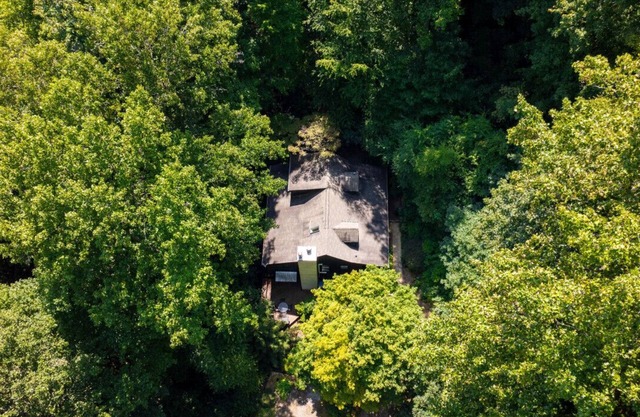 Calming Tree House - Pet Friendly Mountain Hideaway