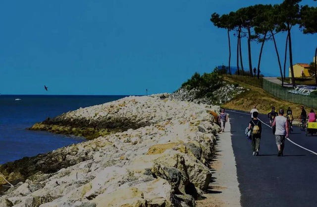 Camping Bonne Anse Plage by Océan Mobilhomes * - Mobile home BA337 44 m² 3 bedrooms 6 people