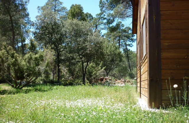 Camping La Bolera located in the Natural Park of Cazorla, Segura and Las Villas.