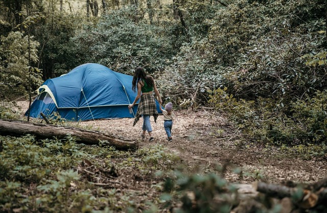 Campsite 1 - Creekside on 38 acres -biking and hiking trails