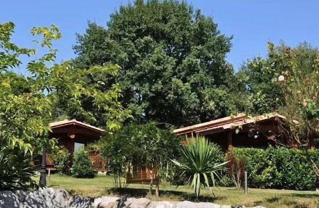 Campsite Midi Pyrenees * - Chalet PMR - suitable for people with reduced mobility 4 people