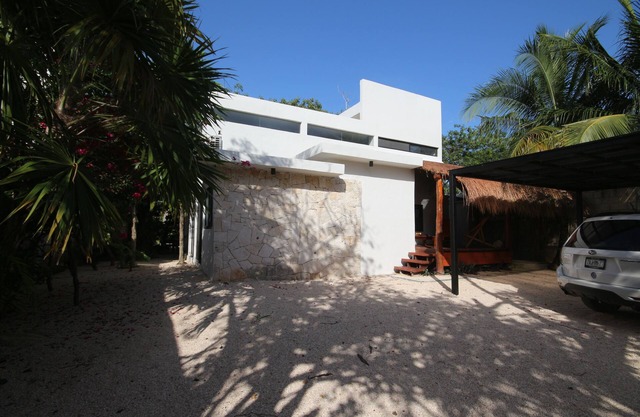 Caribbean Loft with a Big Tree