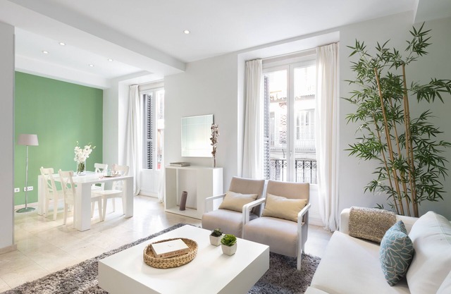 CARRETAS APARTMENTS MADRID 101